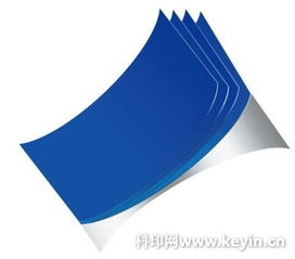 公司经营业务概览 感光技术领域的技术服务与创新